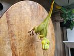 Schleich dino, Kinderen en Baby's, Speelgoed | Actiefiguren, Ophalen, Zo goed als nieuw