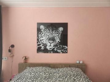 Heel gaaf Countryfield Luipaard schilderij op glas beschikbaar voor biedingen