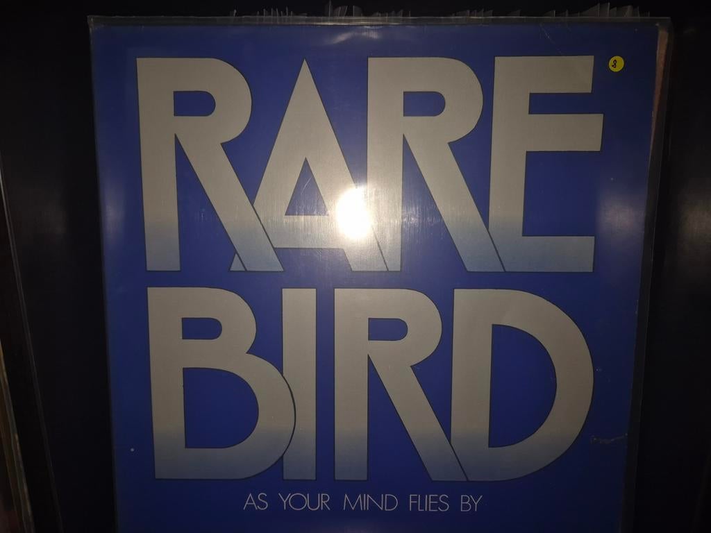 Rare Bird, Verzenden, Zo goed als nieuw, 12 inch, Poprock