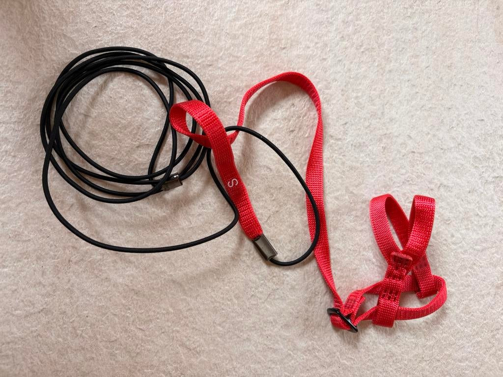 BIRD HARNESS, size S, Mannelijk, Papegaai