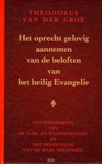 Theodorus van der Groe: Het oprecht gelovig aannemen, Christendom | Protestants, Ophalen of Verzenden, Zo goed als nieuw, Theodorus van der Groe