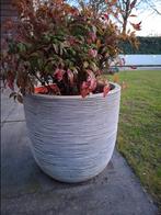 Grote Capi bloempot, grijs met oranje binnenkant, Tuin en Terras, Bloembakken en Plantenbakken, Ophalen of Verzenden, Rond, Kunststof