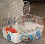 kooi kooitje transporter knaagdierkooi, Dieren en Toebehoren, Kooi, Minder dan 75 cm, Ophalen, Minder dan 60 cm