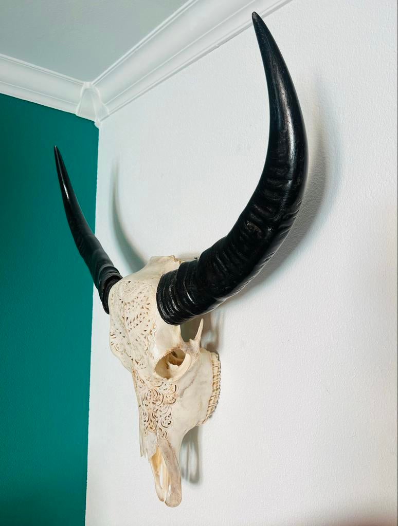 Decoratieve Buffelschedel met Handgesneden Details, Ophalen, Gebruikt, Boho, Natuurlijk materiaal