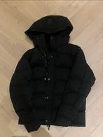 In Gold We Trust Puffer Jacket Zwart, Kleding | Heren, Jassen | Winter, Ophalen of Verzenden, Zo goed als nieuw, Maat 46 (S) of kleiner