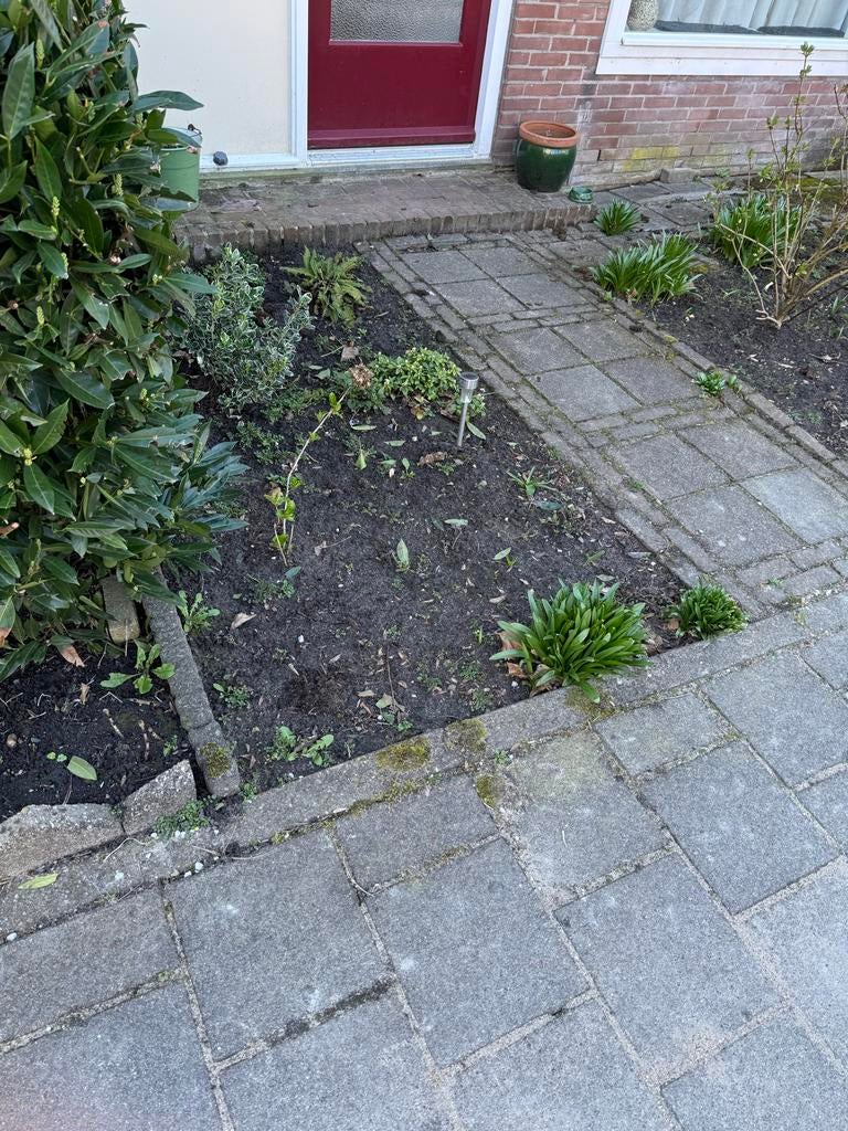 Hovenier/ tuin klusser gezocht, Diensten en Vakmensen, Klussers en Klusbedrijven