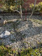 Gratis grind af te halen in Hamont, Ophalen, Gebruikt, Grijs, Grind