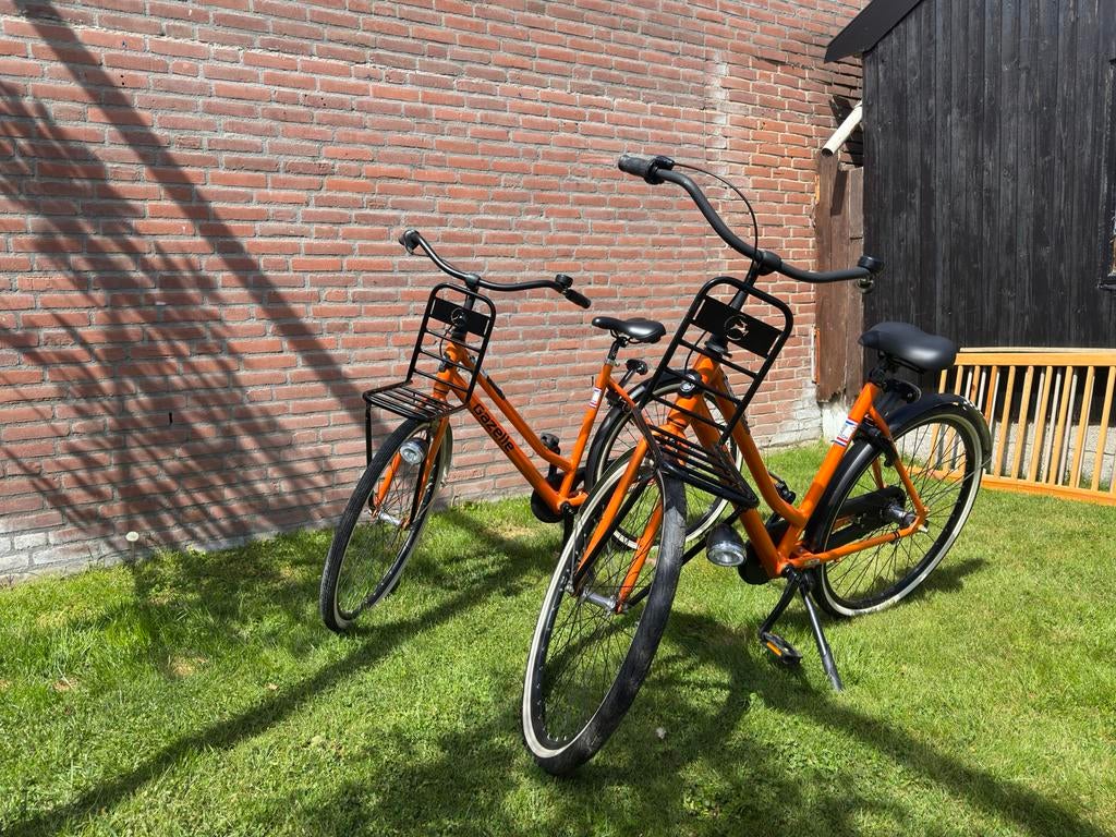 Twee Gazelle F1 Dutch Grand Prix Oranje fietsen, Ophalen, 53 tot 56 cm, Versnellingen, Zo goed als nieuw
