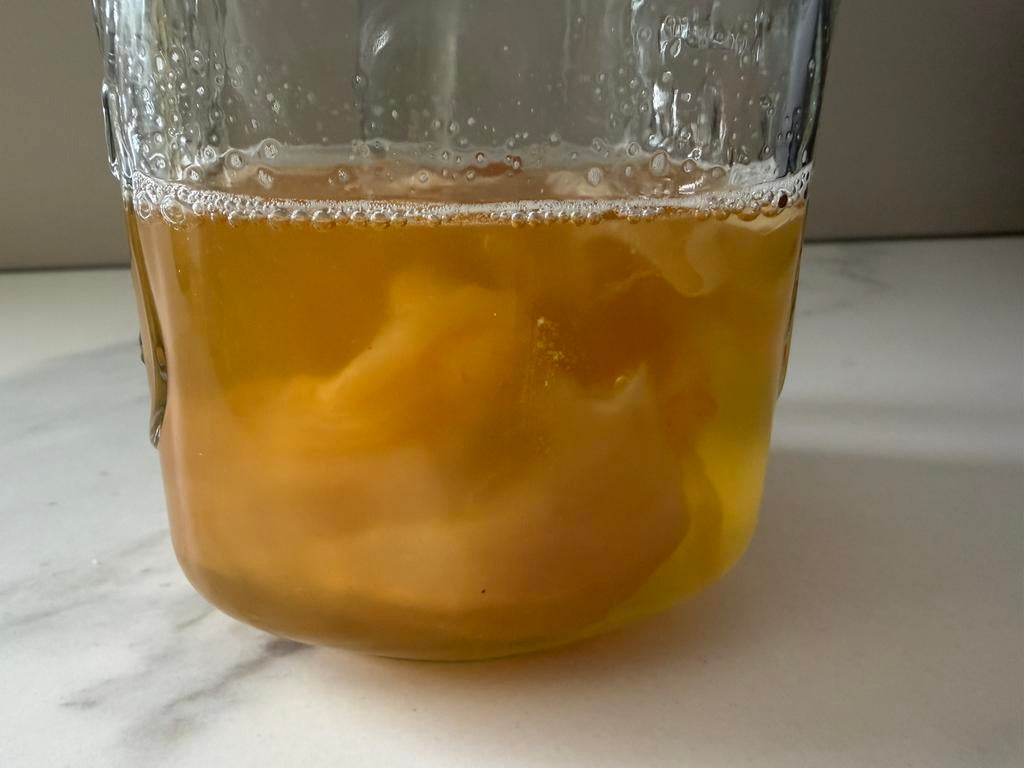 Kombucha scoby + startersvloeistof + thee + smaakmaker, Diversen, Ophalen of Verzenden