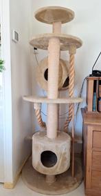 Speel- lig en krabpaal voor grote katten, Dieren en Toebehoren, Ophalen, Gebruikt, Krabpaal