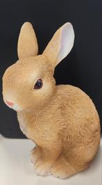 Super Schattig Konijntje, Dieren en Toebehoren, Konijnen, Mannelijk, Dwerg