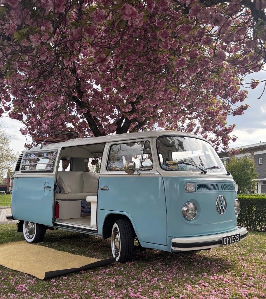 Volkswagen VWT2 1973 Blauw, Auto's, Volkswagen, Achterwielaandrijving, Leder en Stof, Handgeschakeld, Particulier