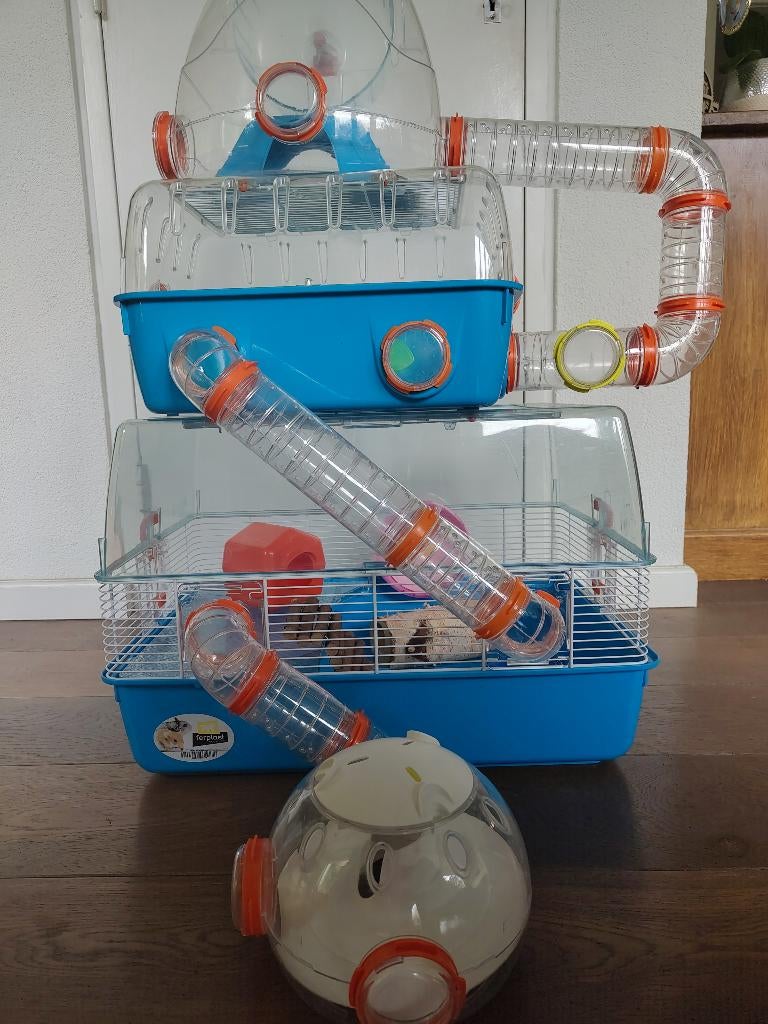 Ferplast Hamsterkooi vol mogelijkheden, Dieren en Toebehoren, Kooi, Gebruikt, Minder dan 75 cm, Hamster