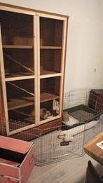 Konijnen hotel! Kooi / kast. Mooi voor buiten of binnen., Dieren en Toebehoren, Knaagdieren en Konijnen | Hokken en Kooien, Ophalen