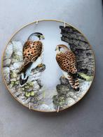 Vintage wandbord 'Old World Kestrel' met hanger, 1984, Ophalen of Verzenden