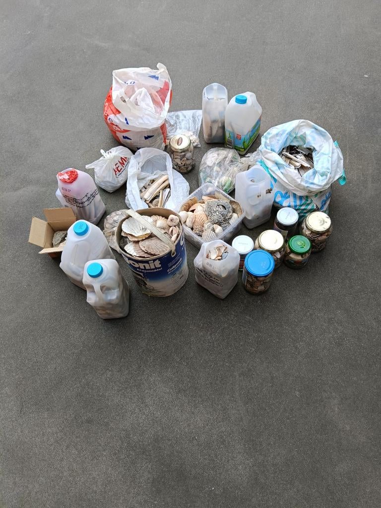 Schelpen plm. 15 kg. Voor de hobbyist., Ophalen