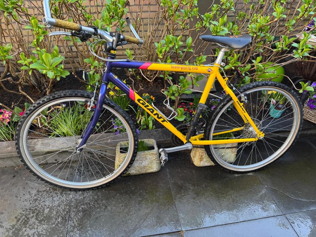 Giant Team World Cup Atlanta Edition mountainbike 19,5, Fietsen en Brommers, Fietsen | Mountainbikes en ATB, Gebruikt, Hardtail