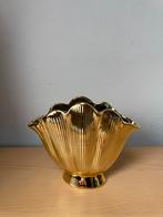 Gouden vaas schelp, Ophalen, Overige materialen, Overige kleuren, Zo goed als nieuw