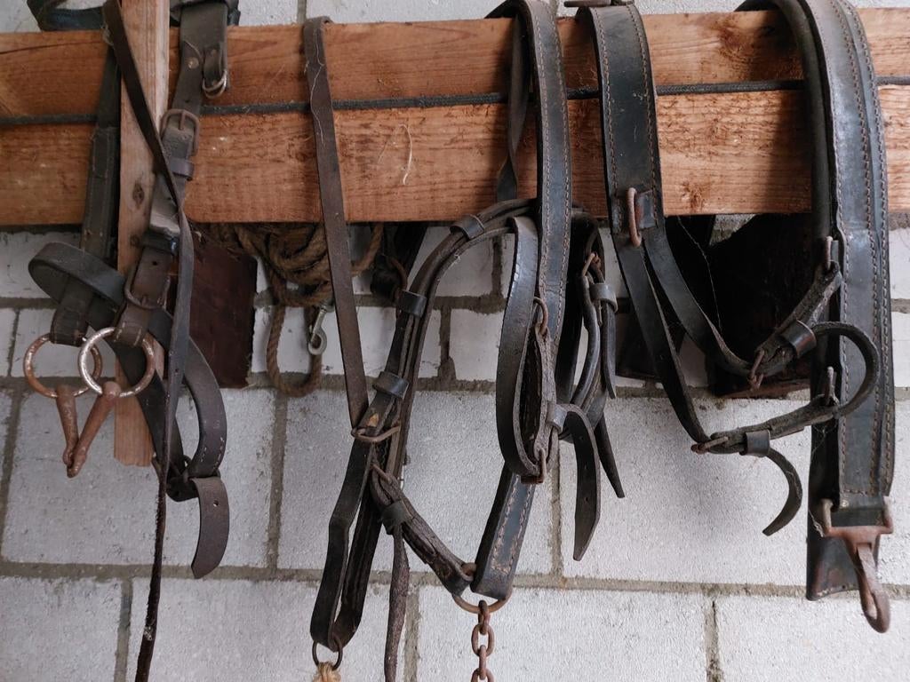 Te koop lederen pony tuig, Ophalen of Verzenden, Gebruikt, Overige soorten