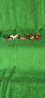 Gezocht letterbak teckel beeldjes, Ophalen