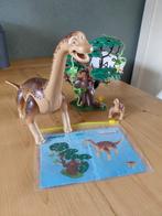 Playmobil Dino 5231 (Compleet), Ophalen, Gebruikt, Complete set