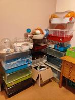 Veel kooien / terrariums / toebehoren voor hamsters, Kooi, 60 tot 90 cm, Ophalen of Verzenden, Hamster