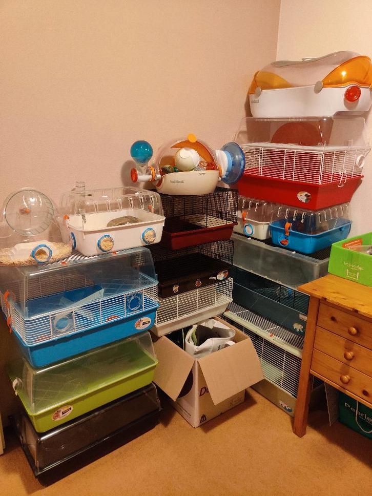 Veel kooien / terrariums / toebehoren voor hamsters, Dieren en Toebehoren, Knaagdieren en Konijnen | Hokken en Kooien, Kooi, 60 tot 90 cm