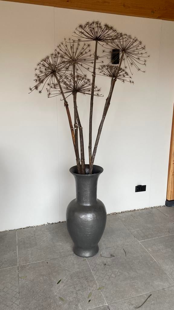 Vaas met gedroogde bereklauwen, Huis en Inrichting, Woonaccessoires | Droogbloemen, Ophalen, Gebruikt