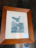 Ingelijste ets van Russell Jackson - 'Morepork Owl & Aurelia, Ophalen of Verzenden