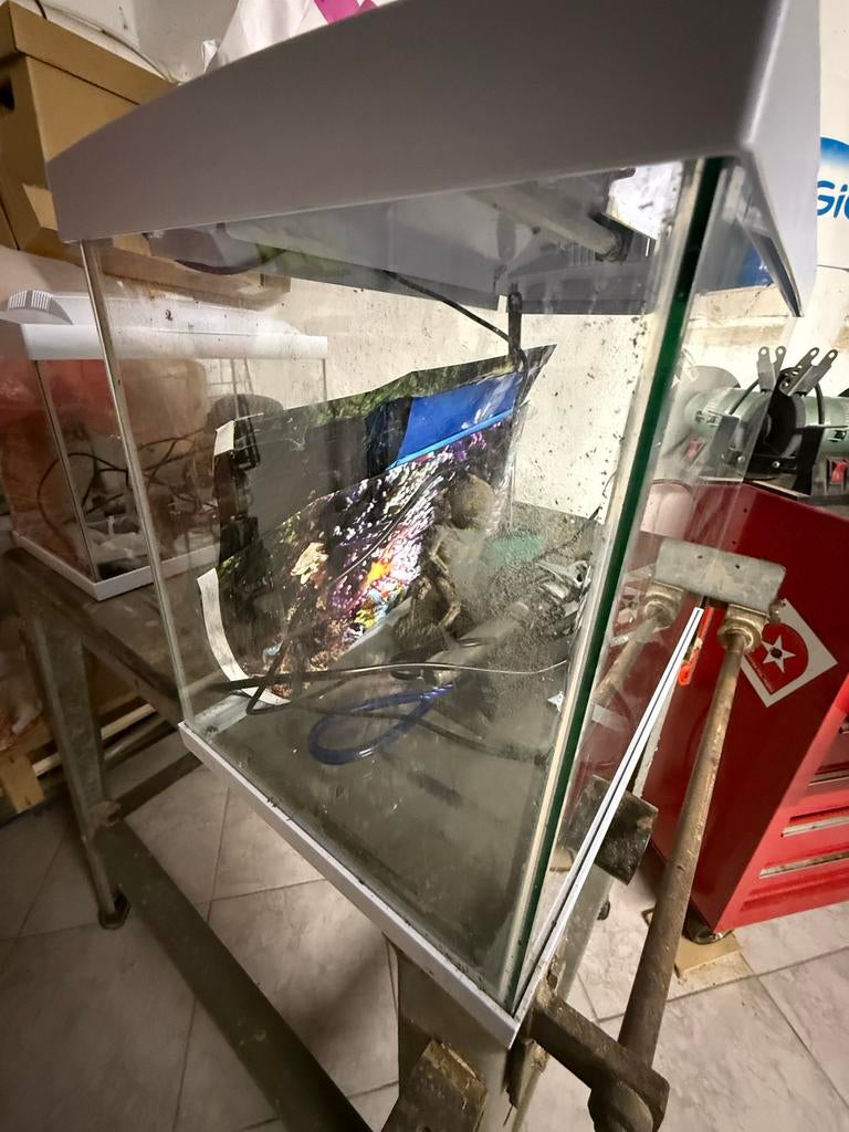 Aquarium 39 liter, Dieren en Toebehoren, Vissen | Aquaria en Toebehoren, Ophalen, Zo goed als nieuw, Leeg aquarium, Verwarming