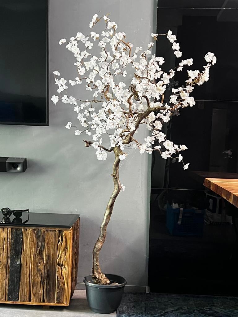 Kunst bloesemboom wit - New, Ophalen, Binnen, 165 cm, Nieuw