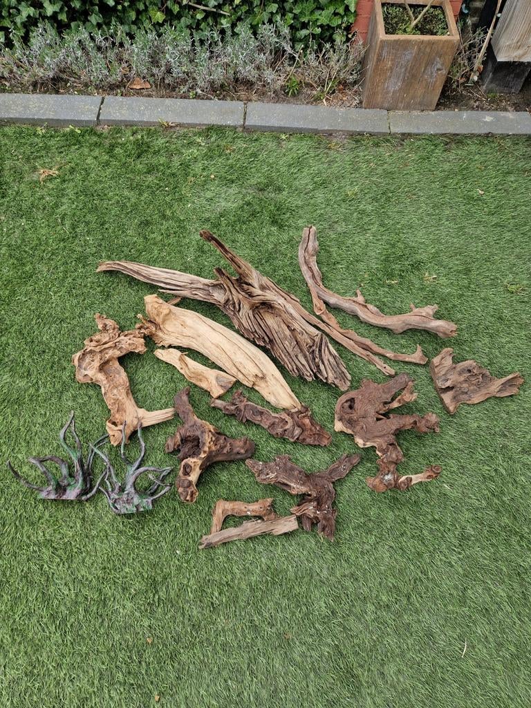 Aquarium hout, Dieren en Toebehoren, Ophalen, Plant(en), Steen of Hout