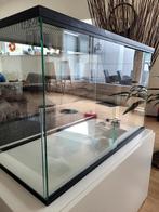 Glazen gerbilarium 80x50x40 met veel extra's, Kooi, Konijn, 75 tot 110 cm, Ophalen