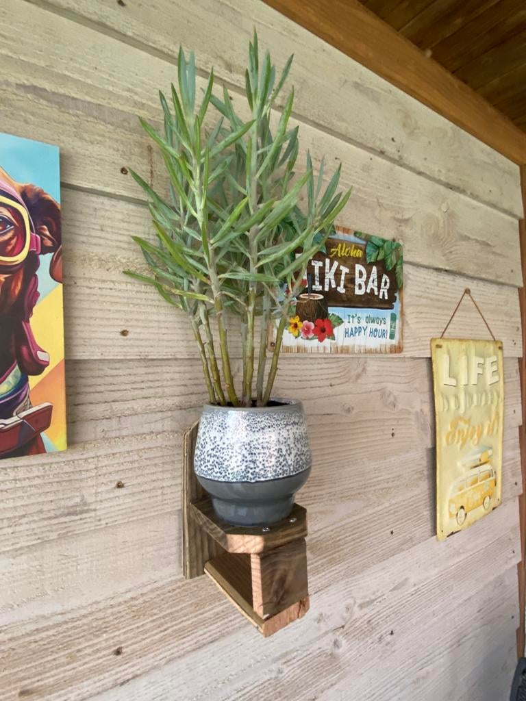 Houten wandplankje voor binnen en buiten, Tuin en Terras, Tuinwanddecoratie, Ophalen of Verzenden, Nieuw