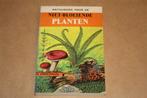 Natuurgids voor de niet-bloeiende planten. Varens..., Boeken, Natuur, Ophalen of Verzenden, Gelezen, Bloemen, Planten en Bomen