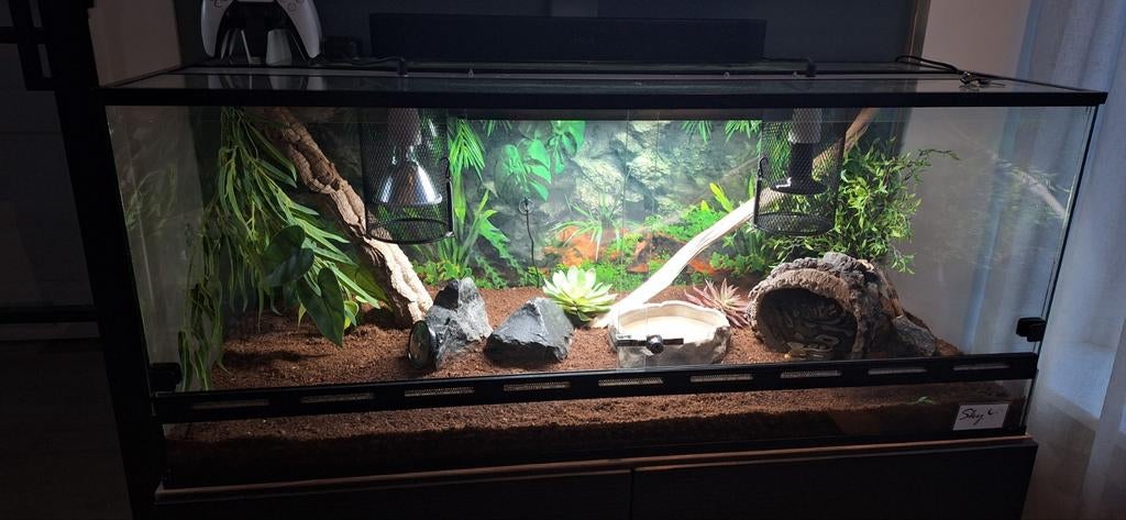 Koningspython, Ophalen, Zo goed als nieuw