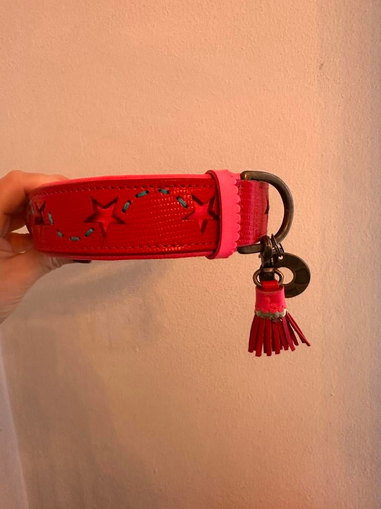 Dogs with a mission DWAM - xl halsband, Ophalen of Verzenden, Nieuw