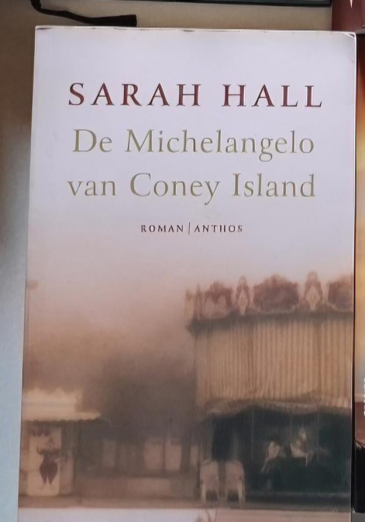 Hall Sarah : De Michelangelo van Coney Island, Boeken, Historische romans, Zo goed als nieuw, Ophalen of Verzenden