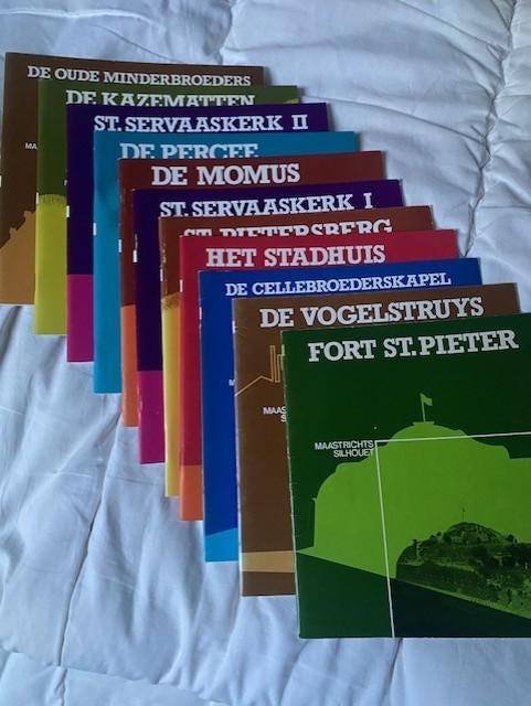 Maastrichts Silhouet, Boeken, Ophalen of Verzenden, Zo goed als nieuw