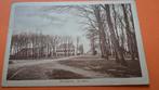 Ansichtkaart in sepia kleuren Zuidlaren de Brink 1930, Ophalen of Verzenden, 1920 tot 1940, Gelopen, Stad of Dorp