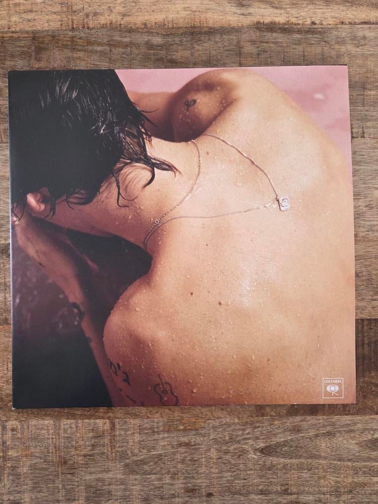 Lp Harry Styles, Cd's en Dvd's, Vinyl | Pop, Ophalen of Verzenden, Zo goed als nieuw, 12 inch