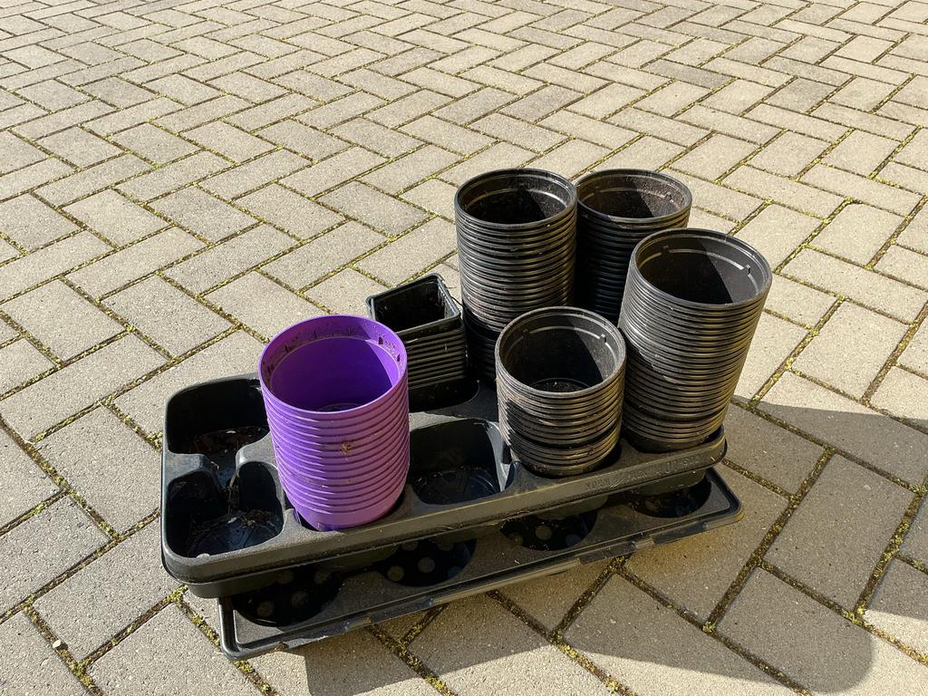 Stekpotjes kunststof rond 9 cm en 10 cm hoog, ca. 110 stuks, Tuin en Terras, Ophalen, Kunststof, Gebruikt, Minder dan 30 cm