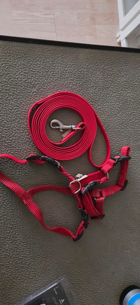 Verstelbaar YTuigje XS (tot 11kg) +biothane lijn 3m, Dieren en Toebehoren, Ophalen of Verzenden