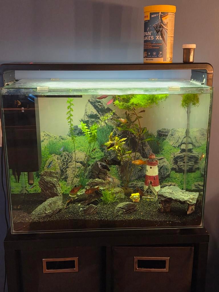 SuperFish home 80 aquarium, Dieren en Toebehoren, Vissen | Aquaria en Toebehoren, Ophalen, Gevuld zoetwateraquarium