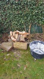 Openhaardhout, Minder dan 3 m³, Ophalen, Eikenhout, Blokken