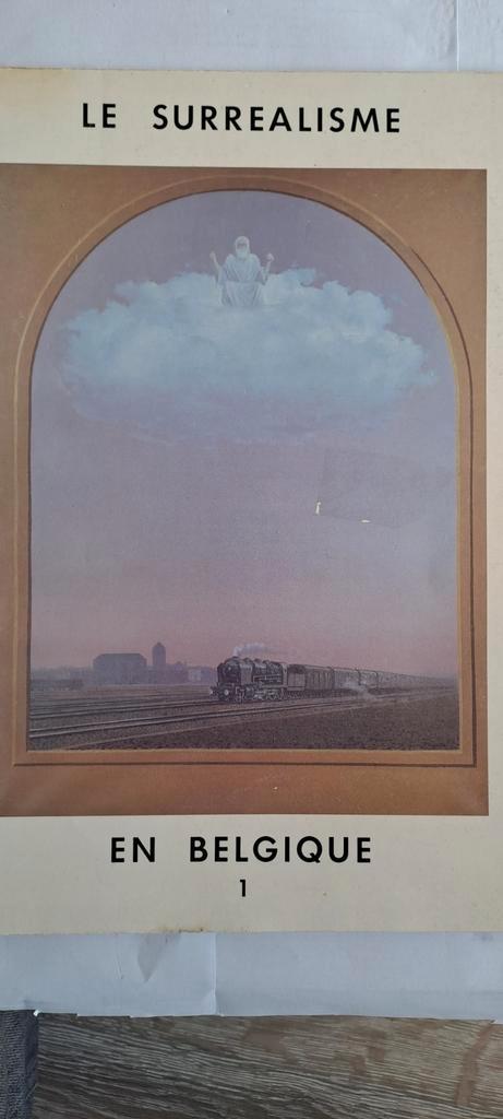 Le Surrralisme   en  Belgique, Boeken, Kunst en Cultuur | Beeldend, Gelezen, Ophalen of Verzenden