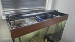 Aquarium Juwel with fish, Dieren en Toebehoren, Ophalen of Verzenden, Zo goed als nieuw, Leeg aquarium