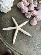 Witte Zeester Decoratie, Ophalen of Verzenden, Zo goed als nieuw