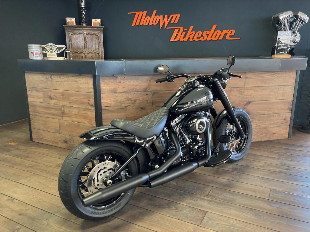 Harley Davidson FLS Softail Custom Special Paint Custom Rear, Motoren, Motoren | Harley-Davidson, Info@harley-davidson.com, Bedrijf