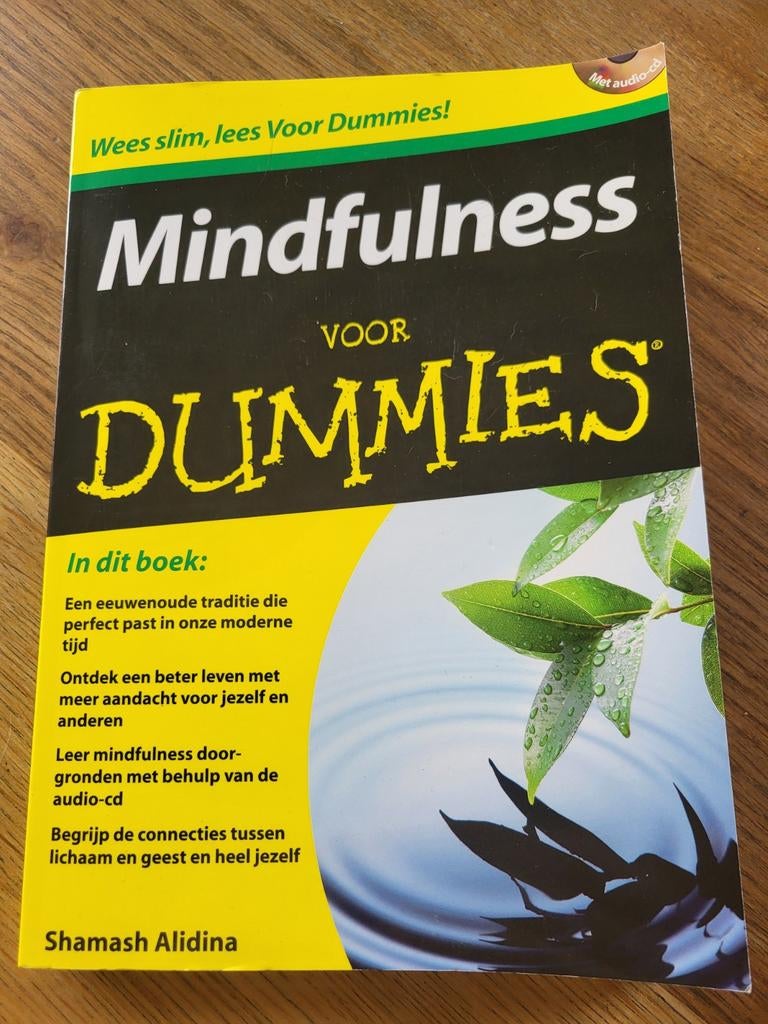Shamash Alidina - Mindfulness voor Dummies, Ophalen of Verzenden, Nieuw, Shamash Alidina